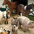 Barnyard Bunch