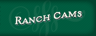 Watch Our Ranch Cams