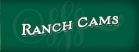 Watch Our Ranch Cams