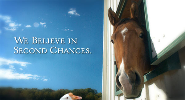 We believe in second chances.