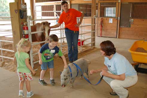 Children can enjoy age-appropriate programs with our humane educators.