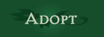 Adopt-button