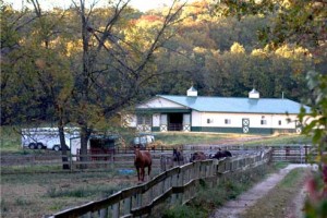 About Longmeadow Rescue Ranch Longmeadow Rescue Ranch