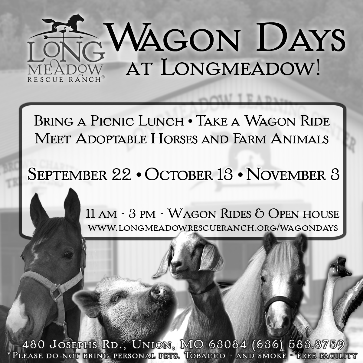 Wagon Days @ Longmeadow Rescue Ranch