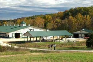 Longmeadow Rescue Ranch • Horse & Farm Animal Rescue • Union, MO