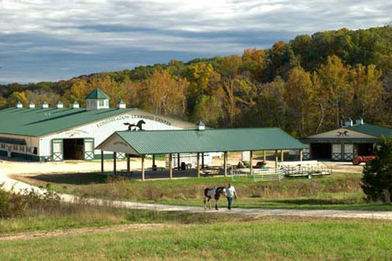 Longmeadow Rescue Ranch - Careers