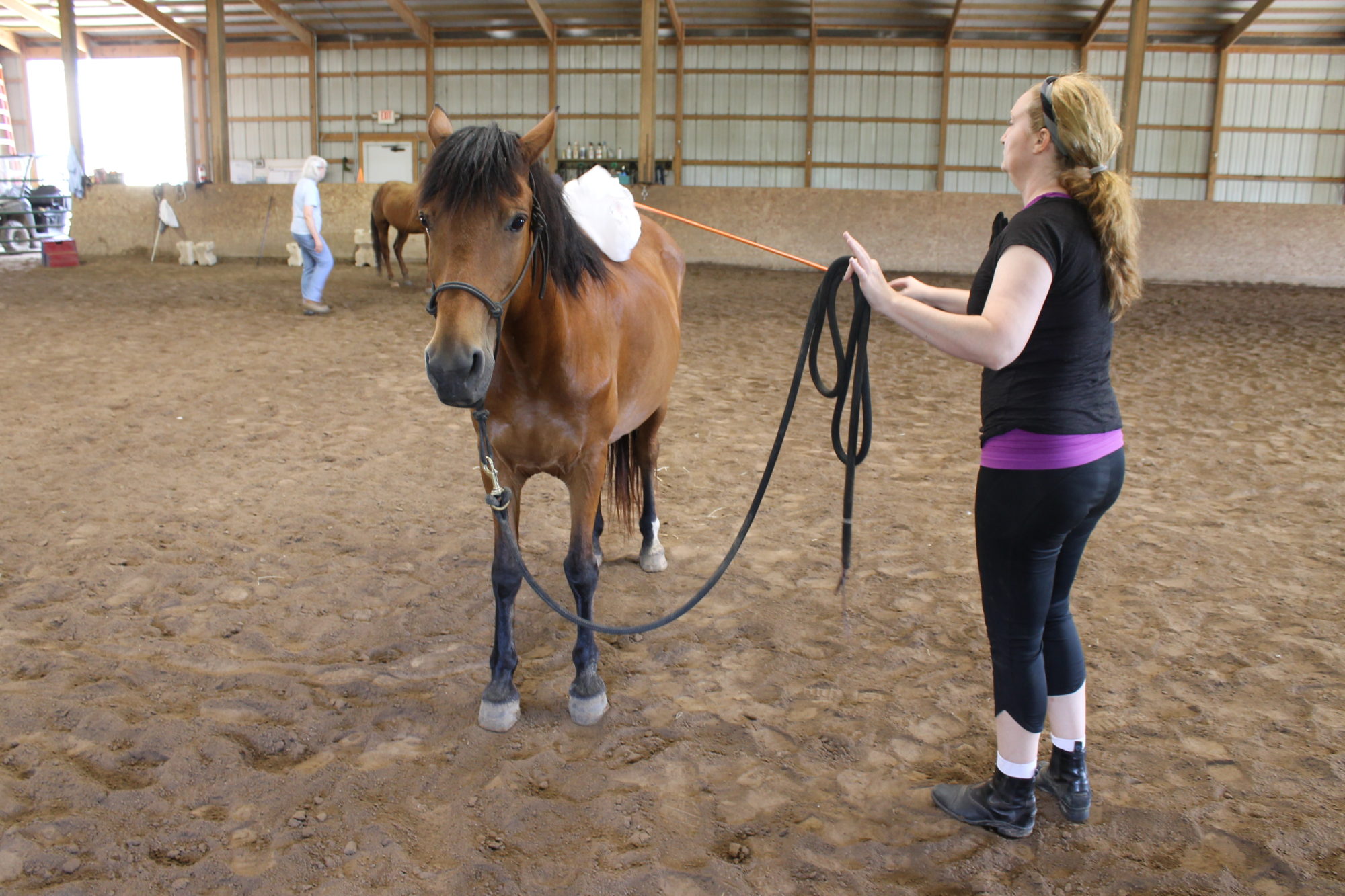 Groundwork Sessions at Longmeadow Rescue Ranch