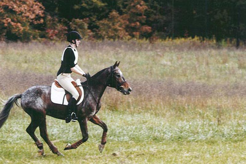 Longmeadow Rescue Ranch - Learn To Ride