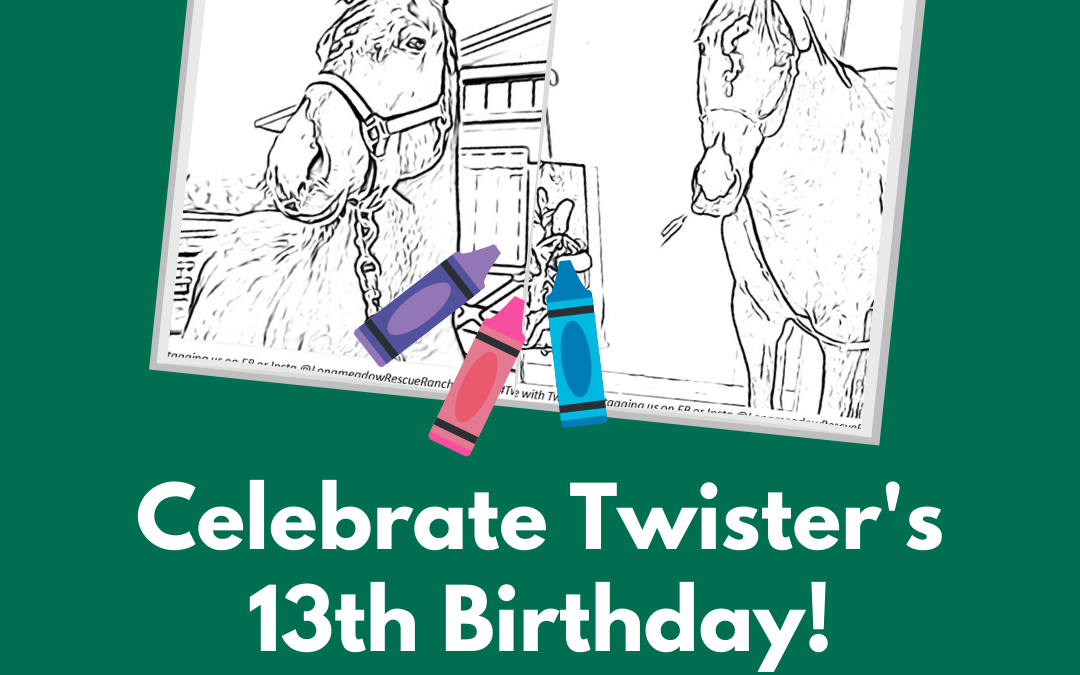 Twister Turns 13!