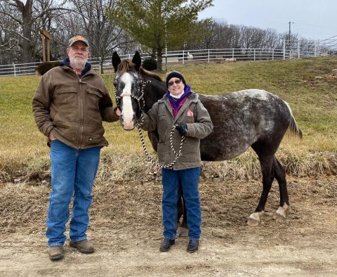 Adopt Longmeadow Rescue Ranch St. Louis, MO