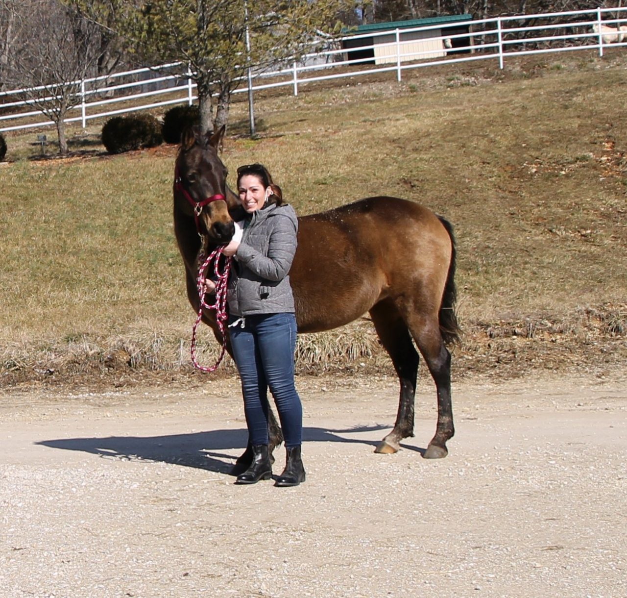 Adopt | Longmeadow Rescue Ranch