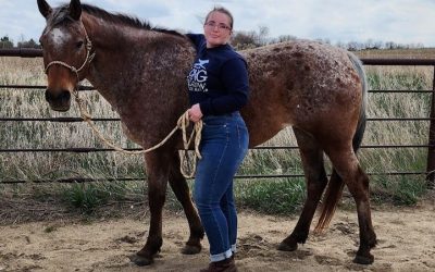 Adopt a Horse Month: Twizzler’s Story