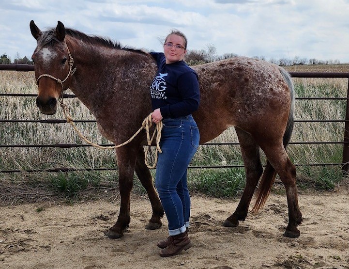 Adopt a Horse Month: Twizzler’s Story
