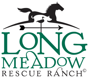 Longneadow Rescue Ranch logo