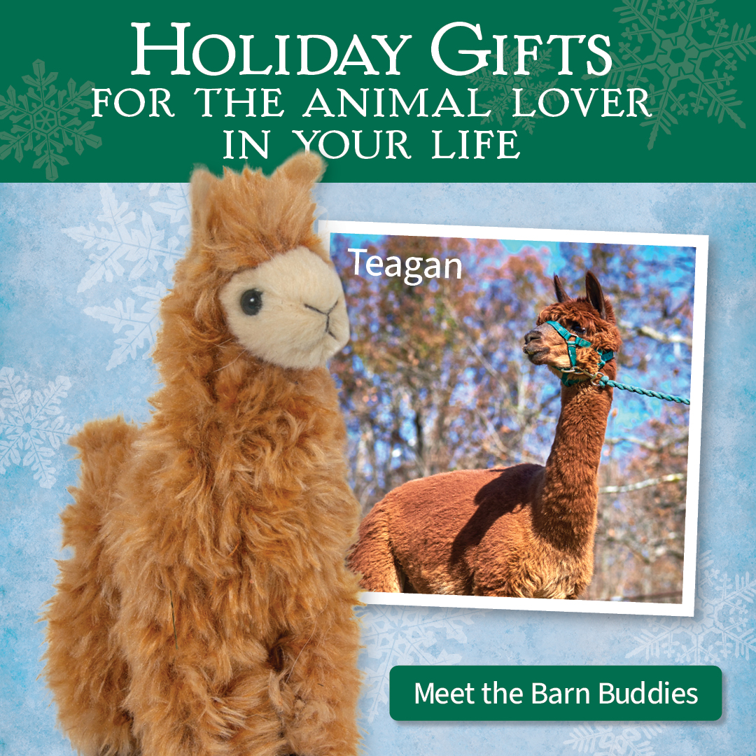 Holiday gifts for the animal lover in your life | Meet all the barn buddies