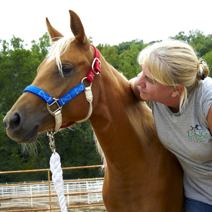 Tumbleweed Ranch Tumbleweed | Longmeadow Rescue Ranch