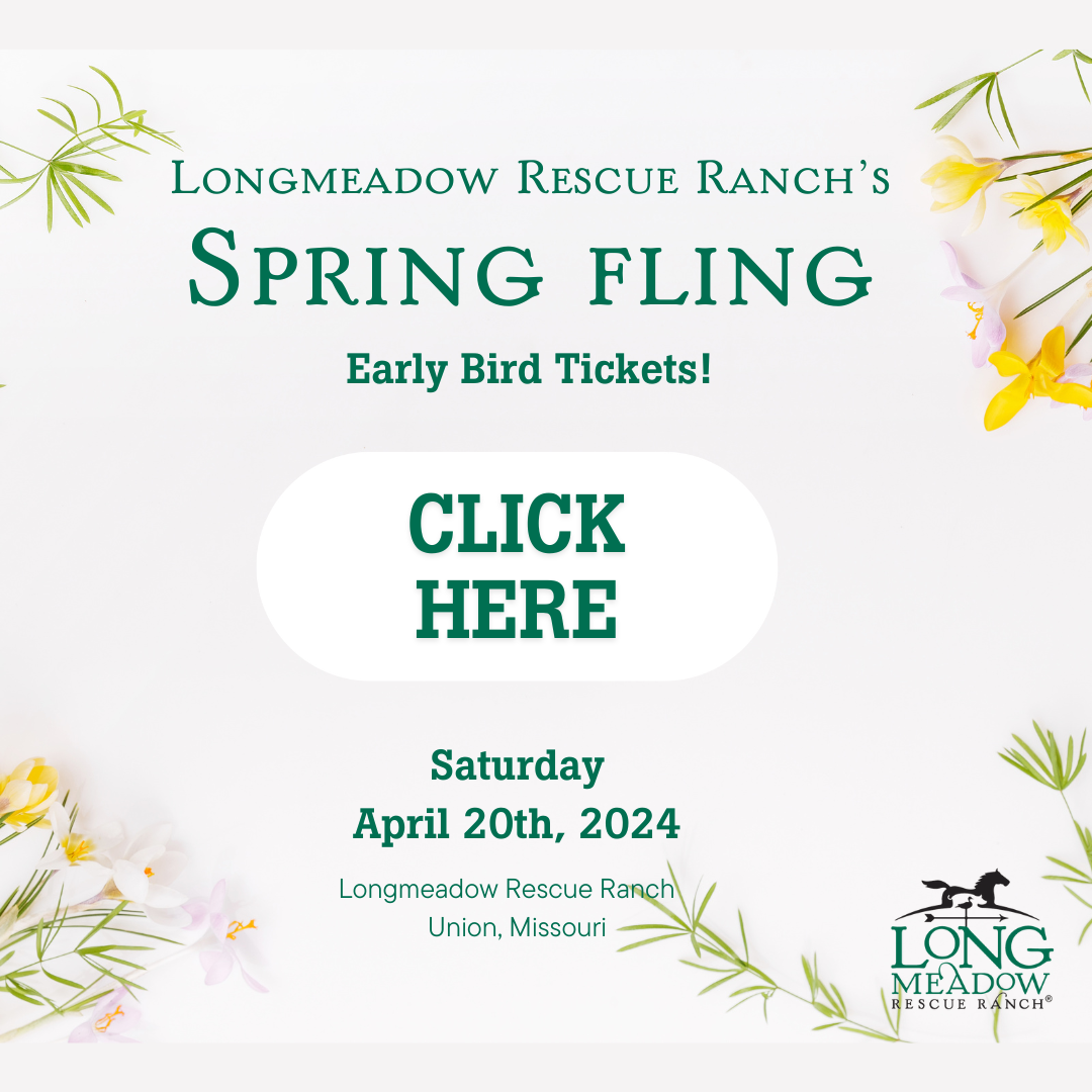 Spring Fling 2024 early bird special