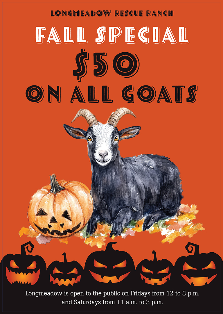 Fall 2024 goat adoption promotion