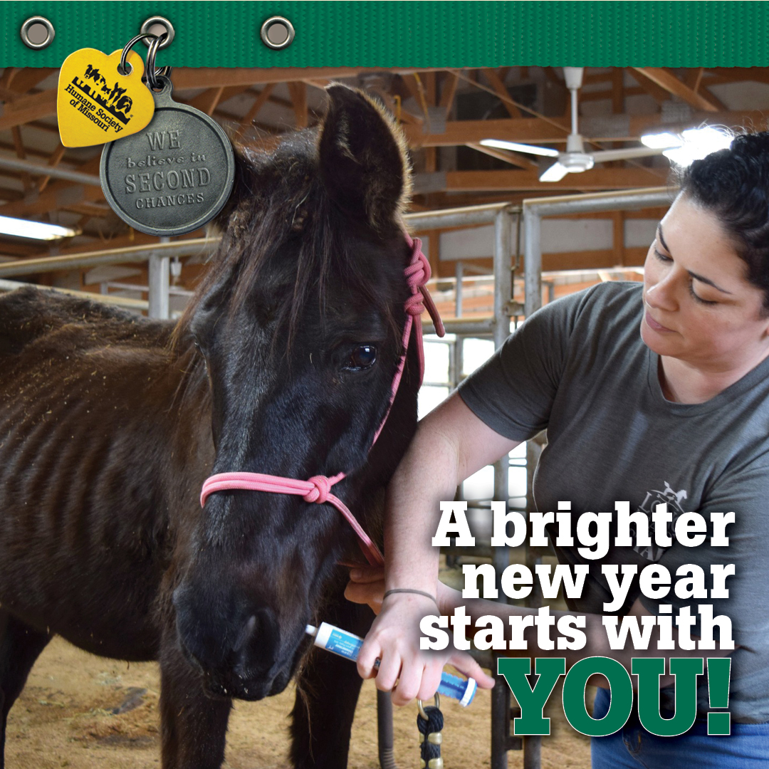 A brighter new year starts with YOU!