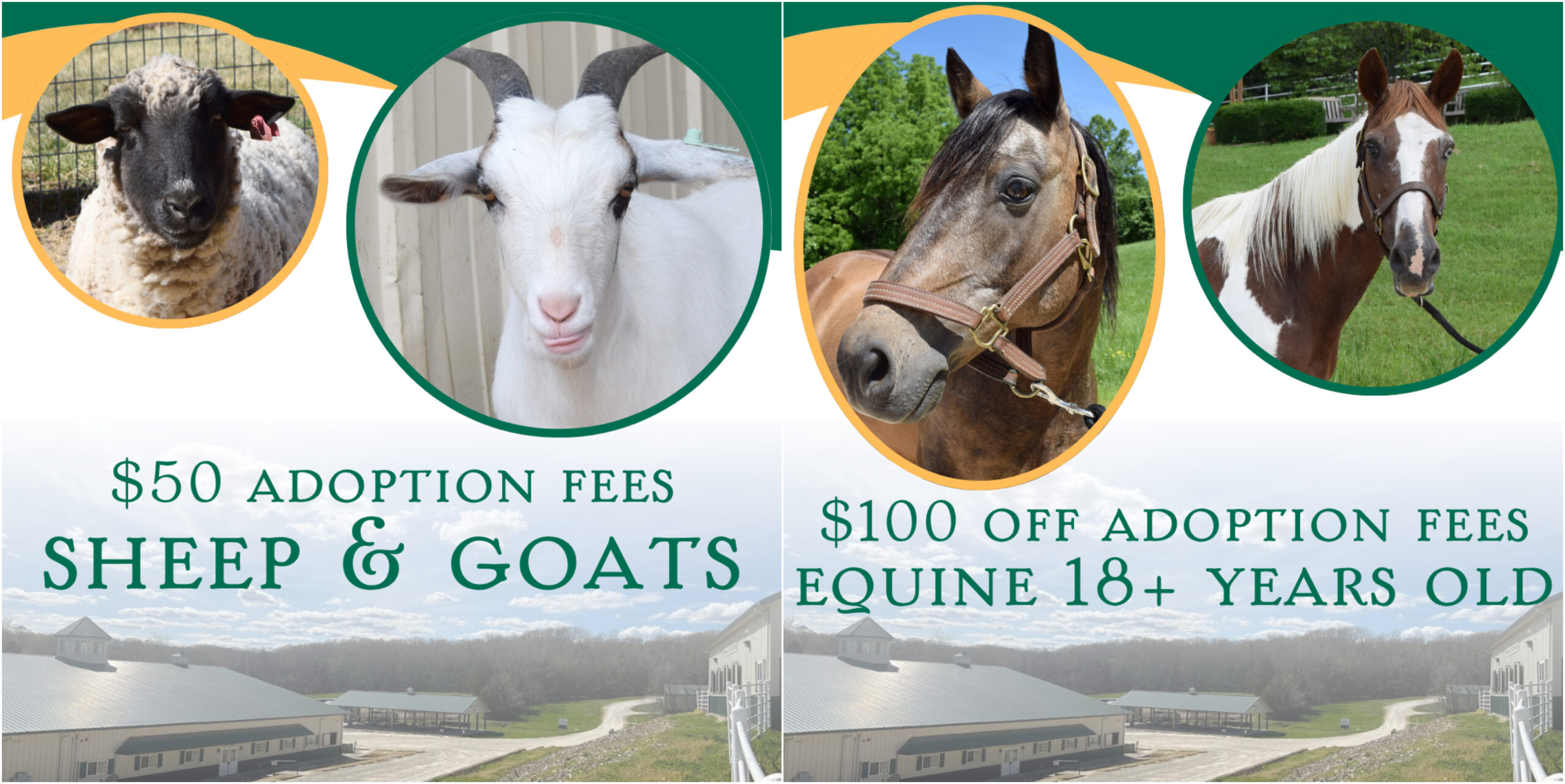 $50 off sheep/goats | $100 off equines