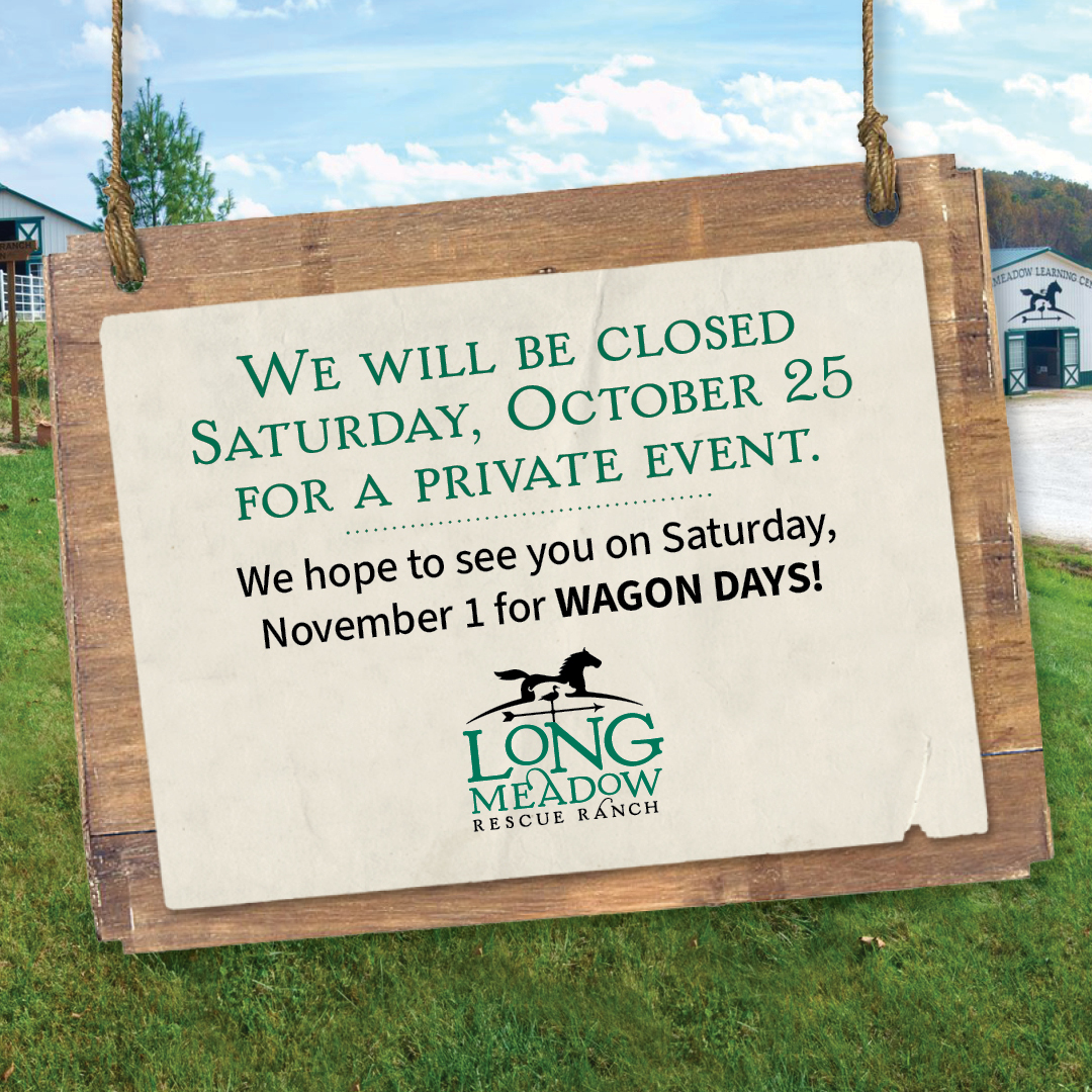 Longmeadow will be closed on Saturday October 25, 2025