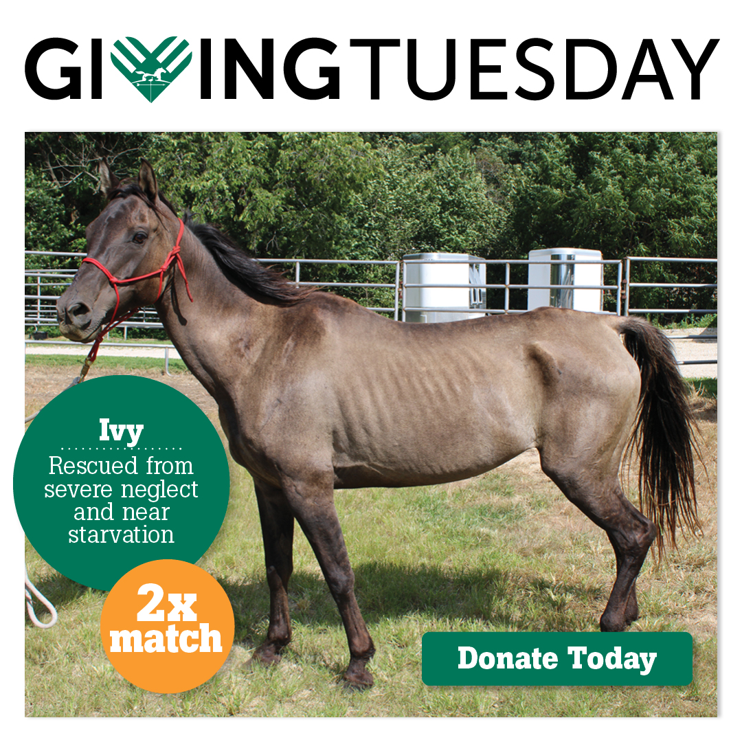 Giving Tuesday 2x match donate today