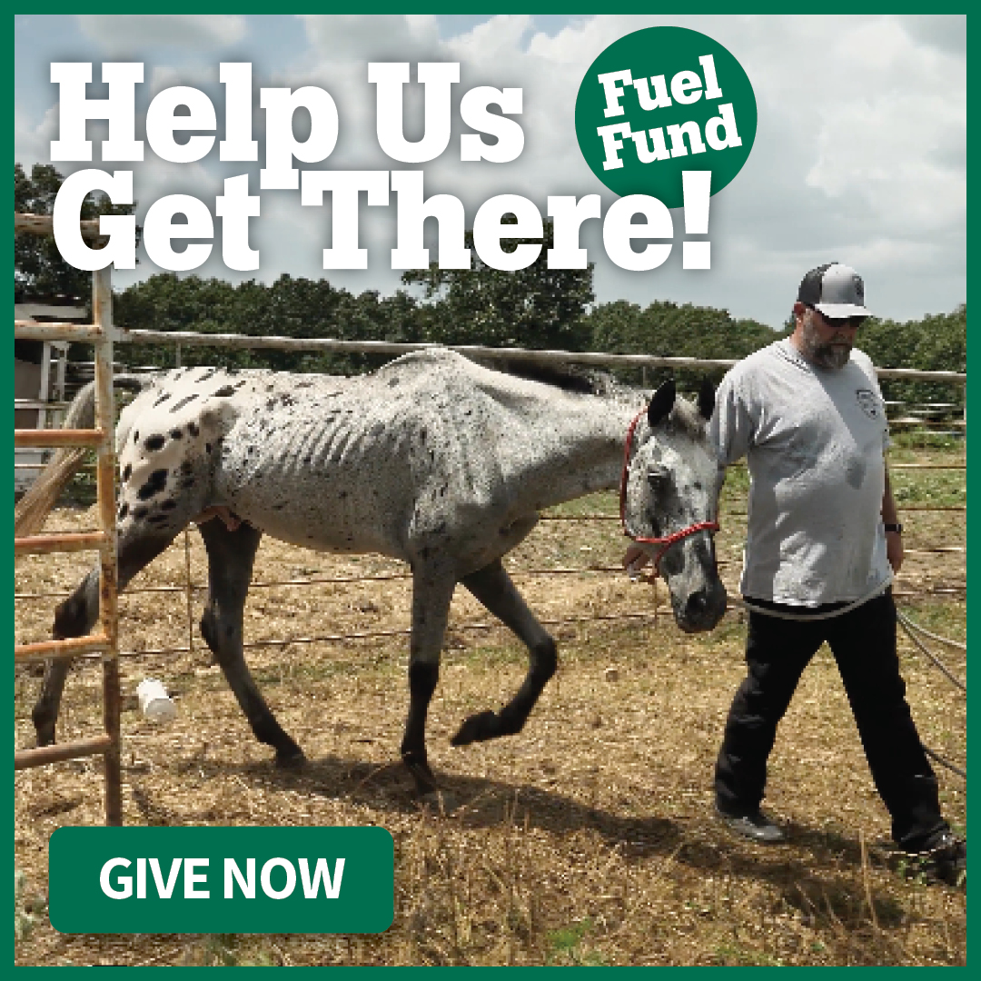 Help Us Get There: Fuel Fund