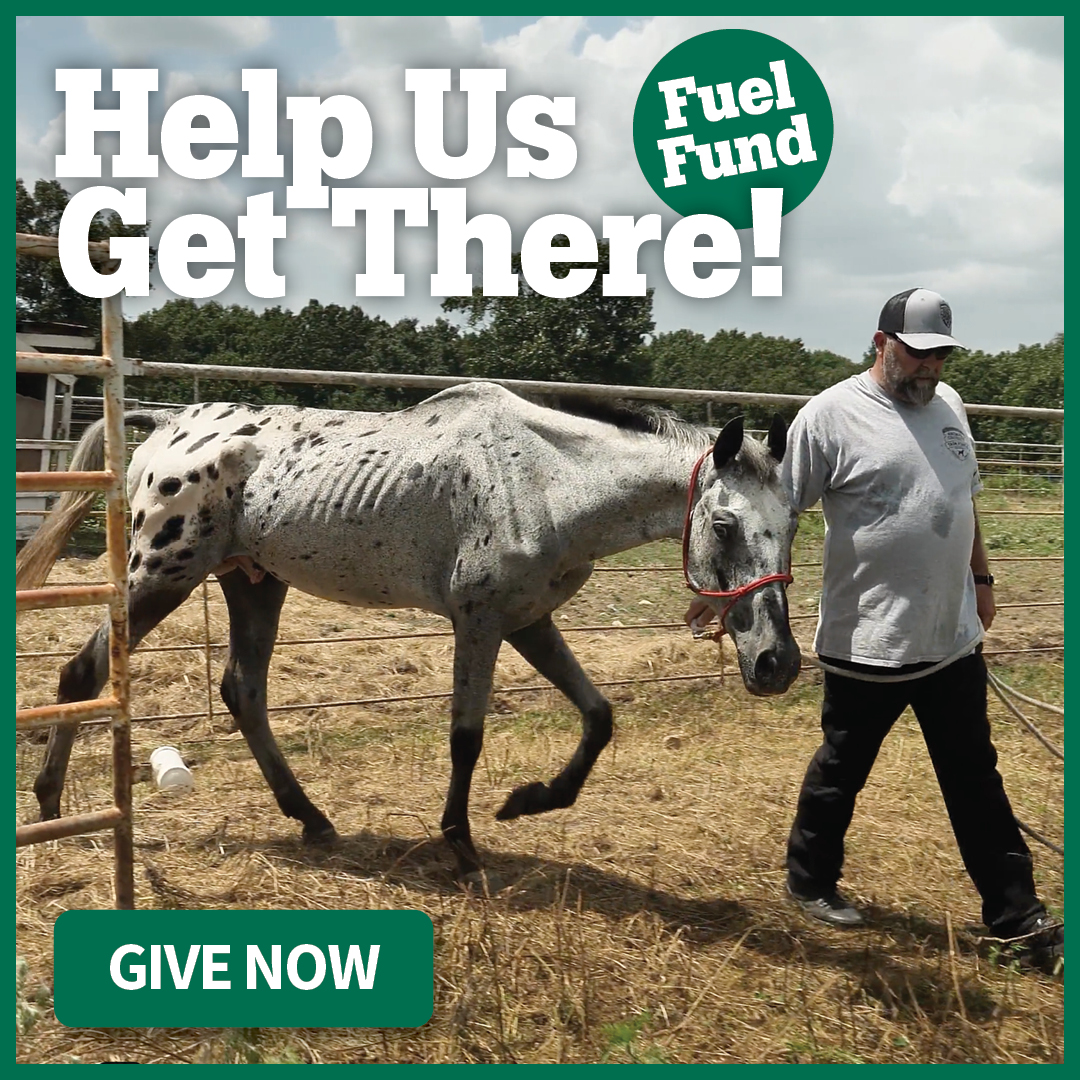 Help Us Get There: Fuel Fund